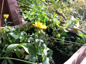 Photovoltaik-Workshop @ Haus Sonnhalde